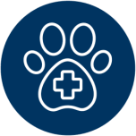 Veterinary Practices & Training Programs